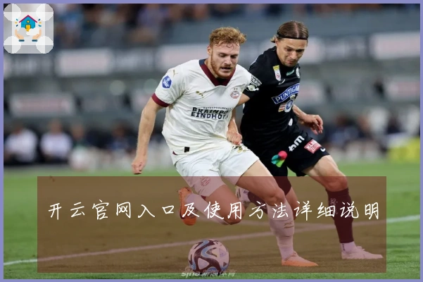 开云官网入口及使用方法详细说明