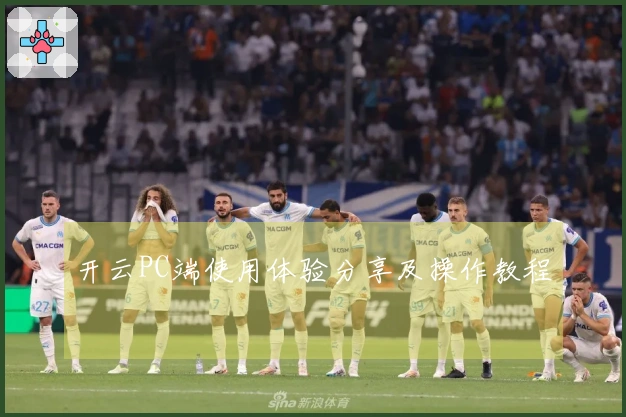 开云PC端使用体验分享及操作教程